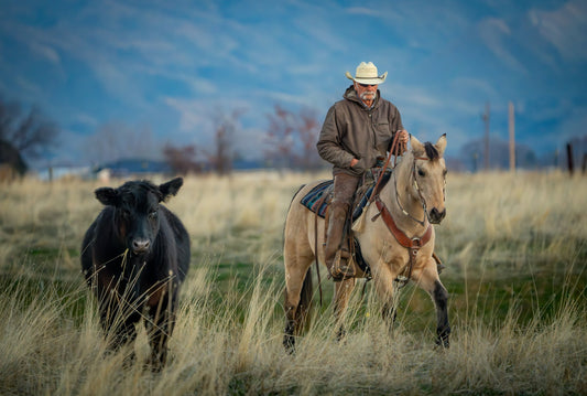 From Farm to Face: The Story Behind Beef Tallow Grooming