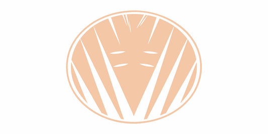 Minimalist golf ball logo for an article on John Daly Jr golf highlights.