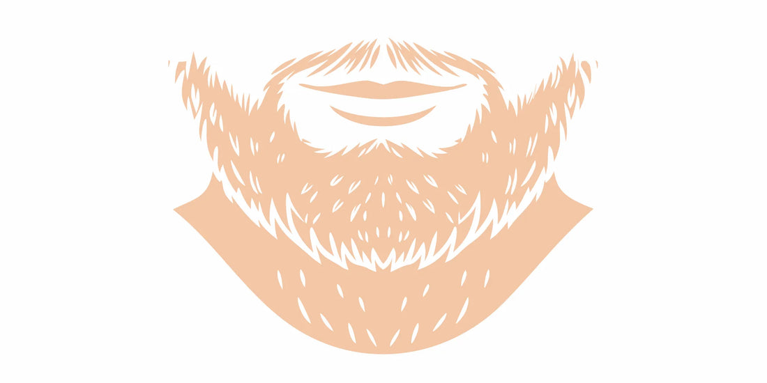 Premium beard grooming products: beef tallow and coconut oil on a dark wooden surface beside a DALYSMOOTH beard balm tin
